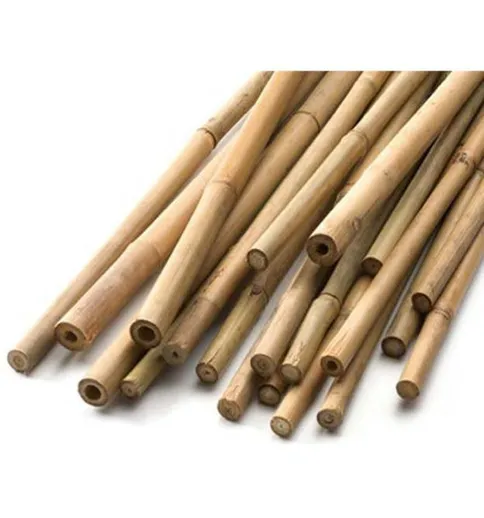 Bamboo Stick